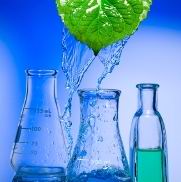 3,4-二氯苯基-4-氯苯基脲（TCC）