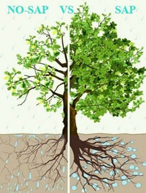 super adsorbent polymer