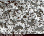 Calcined Alumina fine powder